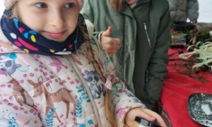 Szkoła Podstawowa nr 2 w Rabce