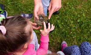 Szkoła Podstawowa nr 2 w Rabce