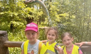 Szkoła Podstawowa nr 2 w Rabce