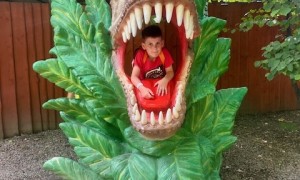 Szkoła Podstawowa nr 2 w Rabce