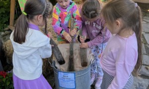 Szkoła Podstawowa nr 2 w Rabce