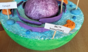 Szkoła Podstawowa nr 2 w Rabce