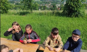 Szkoła Podstawowa nr 2 w Rabce