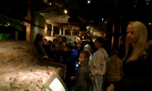 Szkoła Podstawowa nr 2 w Rabce