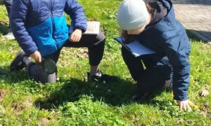 Szkoła Podstawowa nr 2 w Rabce