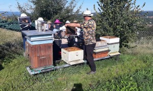 Szkoła Podstawowa nr 2 w Rabce