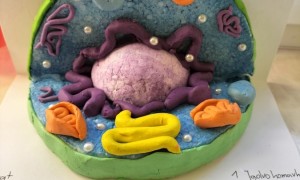 Szkoła Podstawowa nr 2 w Rabce