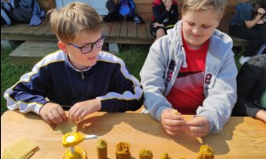 Szkoła Podstawowa nr 2 w Rabce