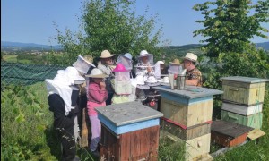 Szkoła Podstawowa nr 2 w Rabce