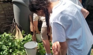 Szkoła Podstawowa nr 2 w Rabce