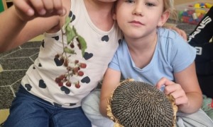 Szkoła Podstawowa nr 2 w Rabce