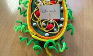 Szkoła Podstawowa nr 2 w Rabce