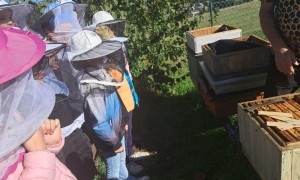 Szkoła Podstawowa nr 2 w Rabce