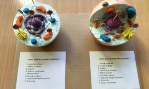 Szkoła Podstawowa nr 2 w Rabce