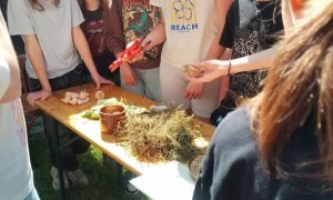 Szkoła Podstawowa nr 2 w Rabce