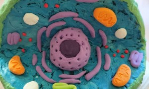 Szkoła Podstawowa nr 2 w Rabce